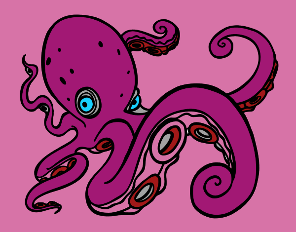 Pulpo enfadado