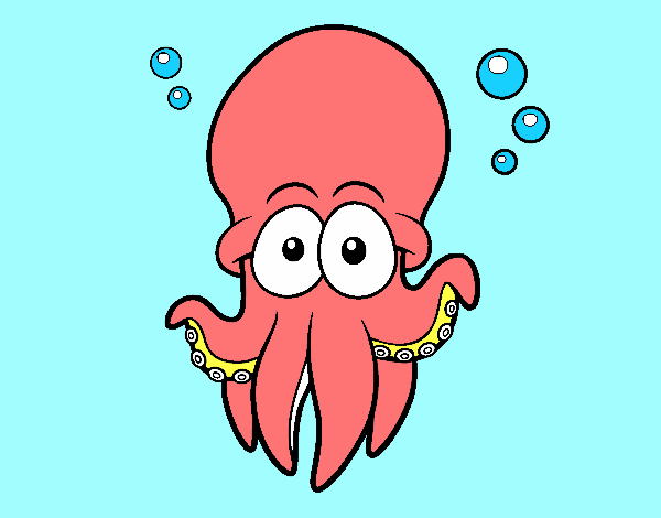 Pulpo rojo