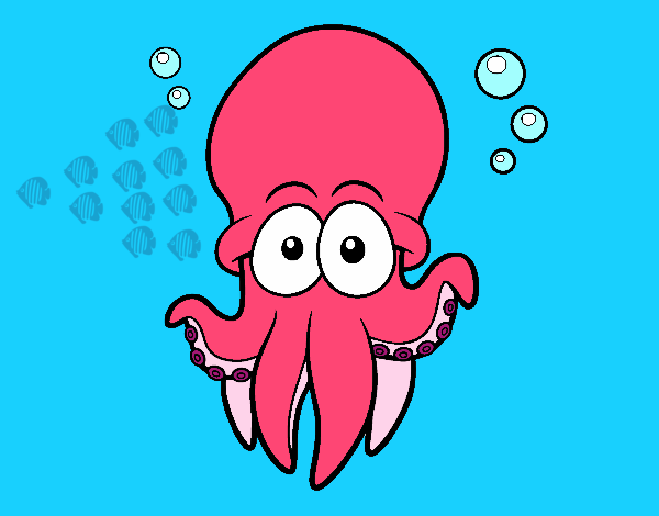 Pulpo rojo