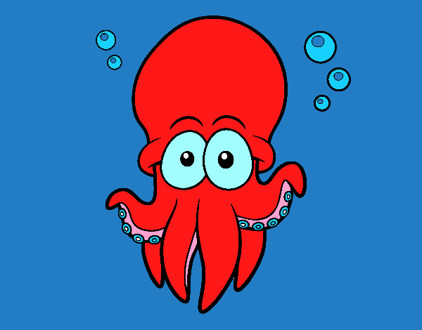 Pulpo rojo