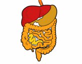 Dibujo Sistema digestivo pintado por Tenochrey