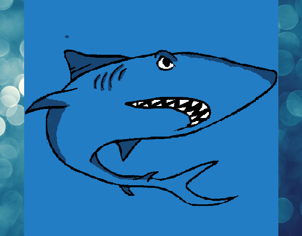 Dibujo Tiburón pintado por tilditus