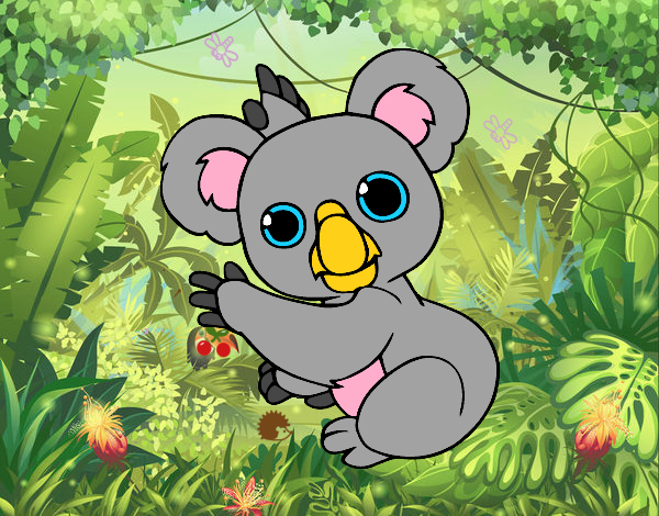 Un Koala