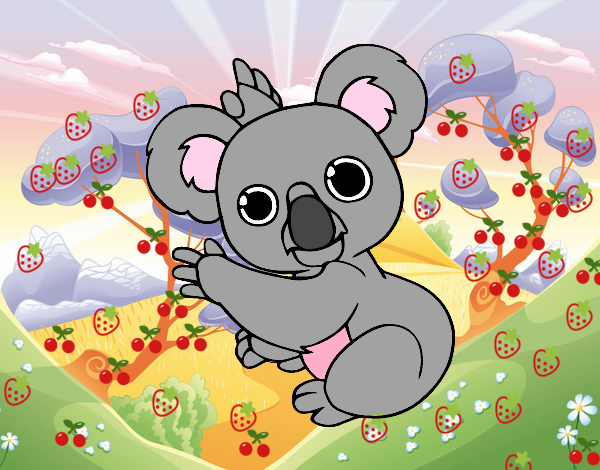 koala