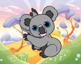 Un Koala