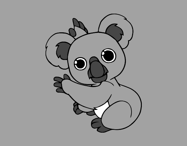 Un Koala