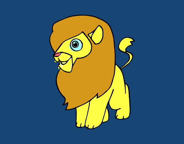 Un león