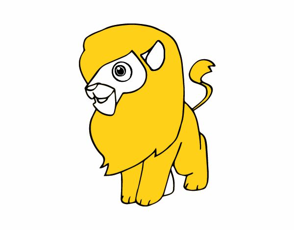 Un león