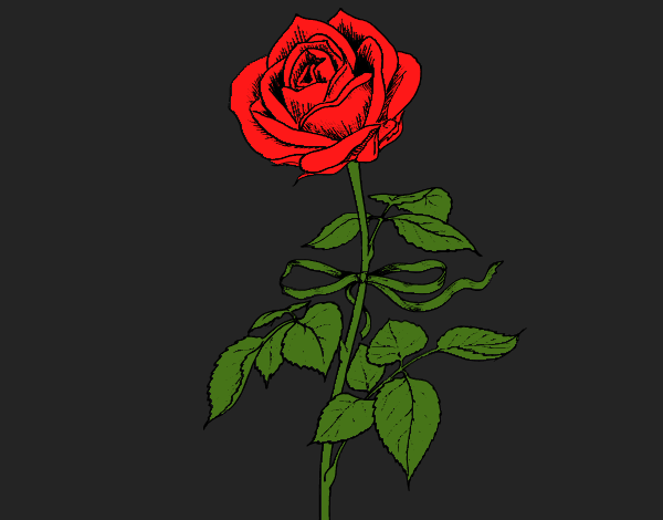 rosa triste