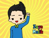 Zayn Malik