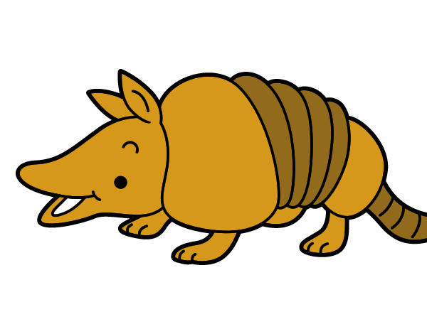 Armadillo joven