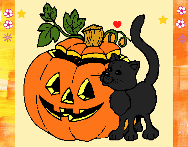 Calabaza y gato