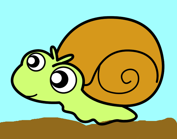 Caracol bebé