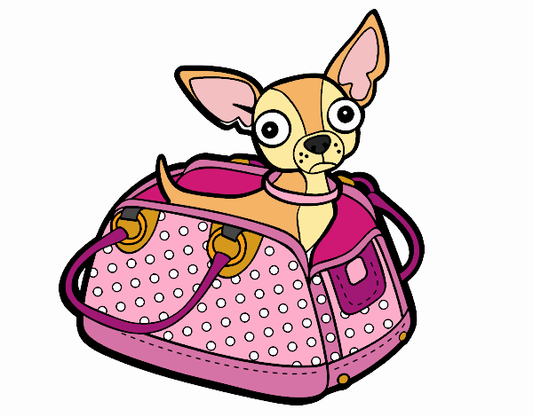 Dibujo Chihuahua de viaje pintado por pusy