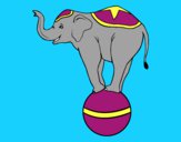 Elefante equilibrista