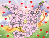 Dibujo Flor de cerezo pintado por nickname23