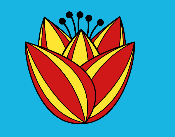 Flor de tulipán