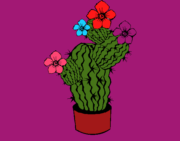 Flores de cactus