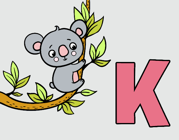 K de Koala