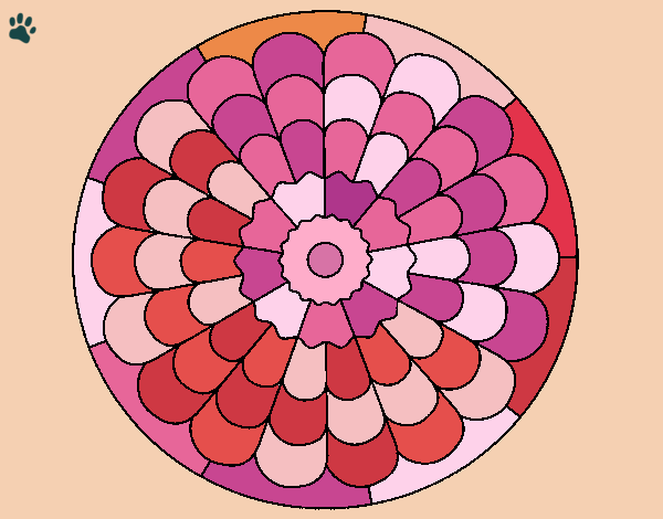 Mandala 23