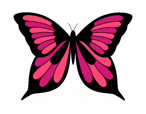 mariposa   monarca