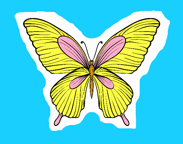 Dibujo Mariposa tropical pintado por pusy