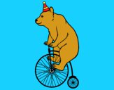 Oso en bicicleta