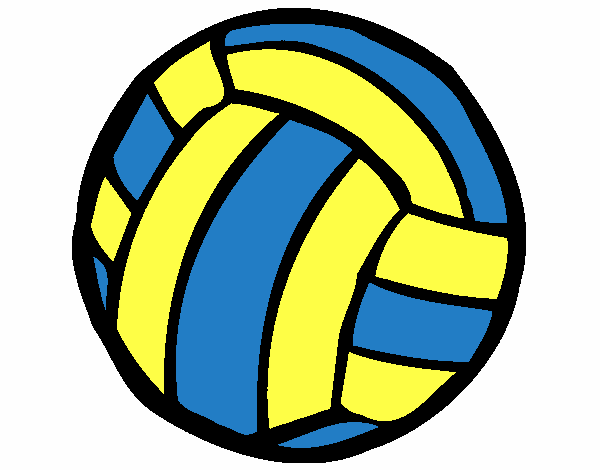 Pelota de voleibol