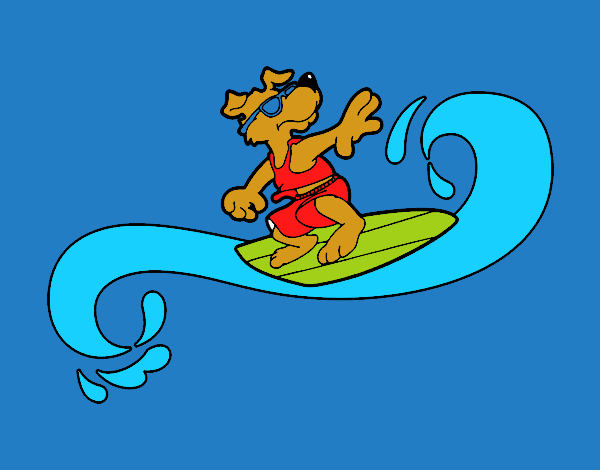 Perro surfeando