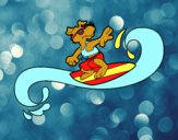 Perro surfeando