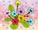 Dibujo Primula pintado por nickname23