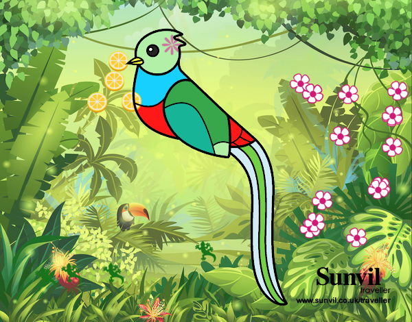 Dibujo Quetzal pintado por JuanMar3
