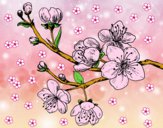 Dibujo Rama de cerezo pintado por nickname23