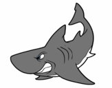 Dibujo Tiburón enfadado pintado por Metalicabr
