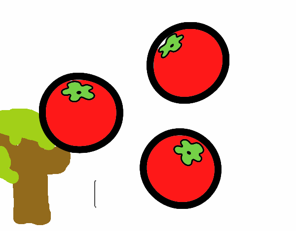 Tomates cherry