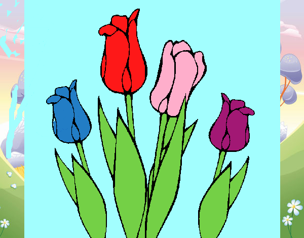 Tulipanes