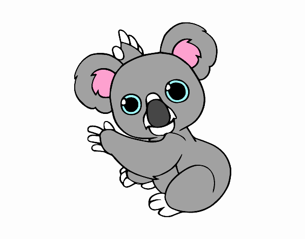 Un Koala