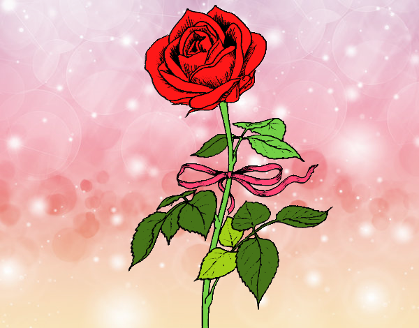 la rosa roja