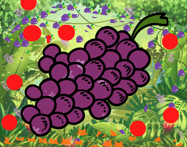 Uvas moradas