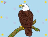 Dibujo Águila en una rama pintado por Lovecat
