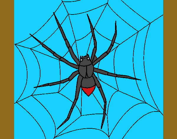 Araña