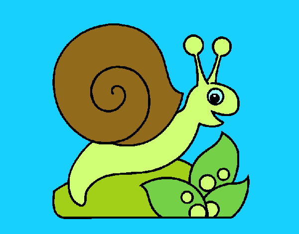 Caracol