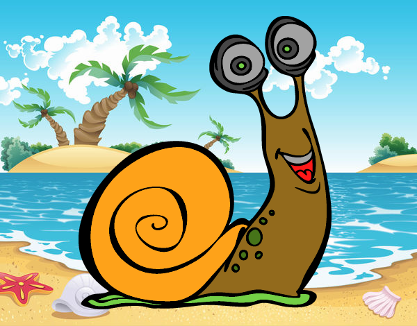 Caracol feliz