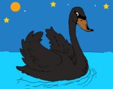 Dibujo Cisne en el agua pintado por LunaLunita
