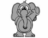 Elefante 2