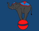 Elefante equilibrista