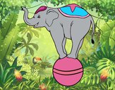 Dibujo Elefante equilibrista pintado por Potte