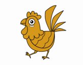 Gallina de granja