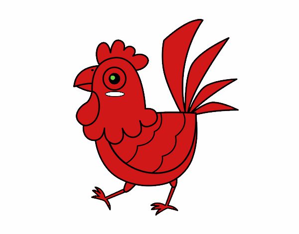 Gallina de granja