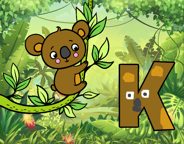 K de Koala